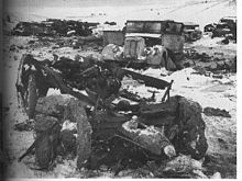 Many destroyed or damaged trucks scattered around a field. Snow and dirt cover everything.