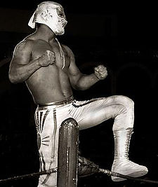 black-and-white photo of a masked wrestler, posing on the turnbuckles during a wrestling event