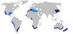 World map with dark blue shading in the western Mediterranean, off northwest and southern Africa, Argentina, northeast Asia and Japan, southern Australia, around New Zealand, around Baja California, and off Peru and northern Chile, and light blue shading in the eastern Mediterranean, the Gulf of Mexico, northern Australia, and further south along Chile
