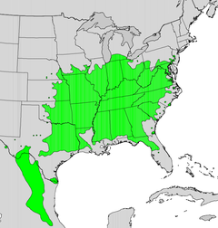 Distribution Map of the Eastern Redbud
