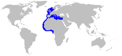 World map with blue outlines on the coastlines of southern Scandinavia, northern Europe, the British Isles, the Iberian Peninsula, the Mediterranean, and northwest Africa as far as the equator