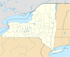 Chenango Canal is located in New York