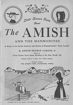 Amish cover.jpg