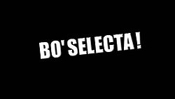 Bo' Selecta