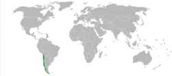 Map indicating locations of Chile and Israel