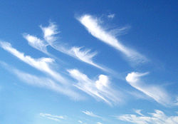 Hooked cirrus clouds showing the cirrus uncinus subform.