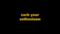 Curbyourenthusiasm.png
