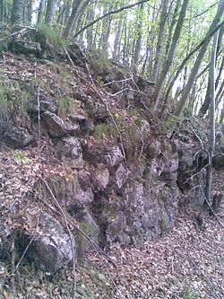 The walls of Dajti Castle in the Dajti National Park, partially covered by dense vegetation of beech forest