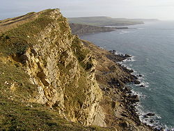 Gad Cliff to St Alban's Head