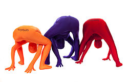 Three people in spandex costumes, covering their bodies head-to-toe, pose with their torsos turned upside-down, hands through their legs. Along their buttocks, the costume clearly reads the "Morphsuits" name brand.