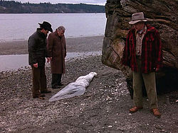 Scene from Twin Peaks Pilot - Discovery of the body of Laura Palmer.jpg