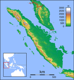 Nepenthes benstonei is located in Sumatra Topography