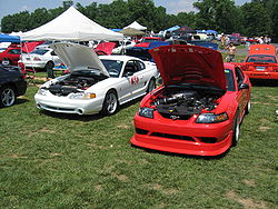 1995 & 2000 Mustang Cobra R