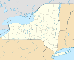 Middle Island, New York is located in New York