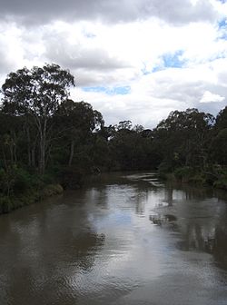 Yarra River from Kanes Bridge.JPG