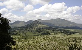 Image taken in the Davis Mountains. The picture is taken from a relatively high elevation and shows a view across a broad valley toward a mountain with a much larger mountain behind. The valley and mountain in the foreground are covered in grasslands with stands of junipers while the higher mountain in the background is mostly wooded.