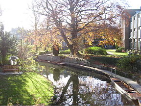 Inside the grounds of Darwin College