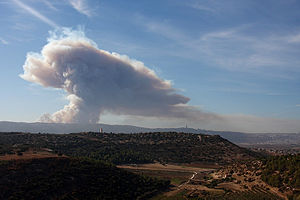 Mount Carmel forest fire