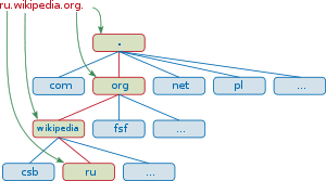 Illustration of the different levels of a domain name.