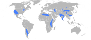 World map with several land areas highlighted, especially in China, India, east Africa, southwest U.S., and Argentina.