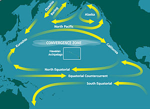 Map showing large-scale looping water movements within the Pacific. One circles west to Australia, then south and back to Latin America. Further north, water moves east to Central America, and then joins a larger movement further north, which loops south, west, north, and east between North America and Japan. Two smaller loops circle in the eastern and central North Pacific.