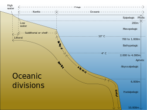 Drawing showing divisions according to depth and distance from shore