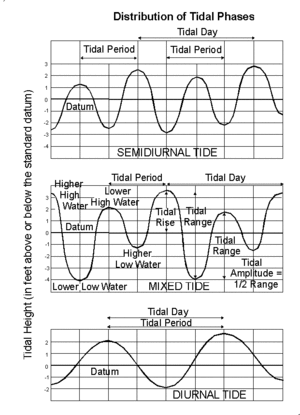 Three graphs. The first shows the twice-daily rising and falling tide pattern with nearly regular high and low elevations. The second shows the much more variable high and low tides that form a "mixed tide". The third shows the day-long period of a diurnal tide.