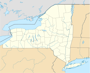 Niagara Falls ARS is located in New York