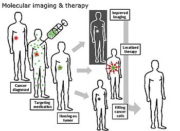 MolecularImagingTherapy.jpg