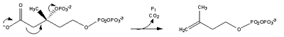 Cholesterol-Synthesis-Reaction6.png