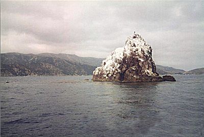 Ship Rock is located 5 miles east of the Isthmus on Catalina Island California.