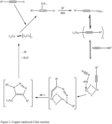 Mechanism for Copper catalysed click chemistry