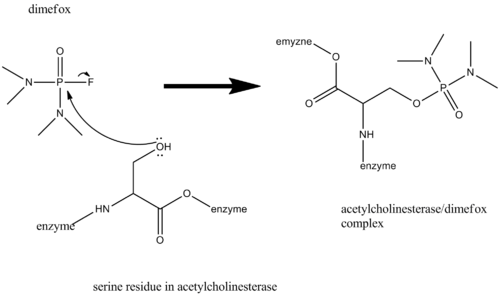 "mechanism of inhibition of acetylcholine by dimefox"