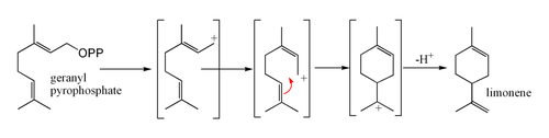 Biosynthesis of limonene from geranyl pyrophosphate