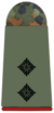 221-Oberleutnant.png