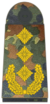 Bundeswehr-OF-8-GL.png