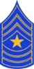 CO - SP Sergeant Major Stripes.png