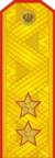 RFGF - Lieutenant-general - Parade.png