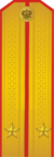 RFGF - Lieutenant - Parade.png