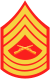 three chevrons up and three down with crossed rifles