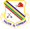 354th Fighter Wing.png