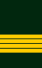 CDN-Army-Col.svg