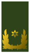 Nl-landmacht-brigade generaal.svg