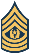 E-9 COMM insignia