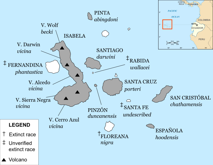 A map of the Galápagos with labels for names of the islands and their native subspecies of tortoise.