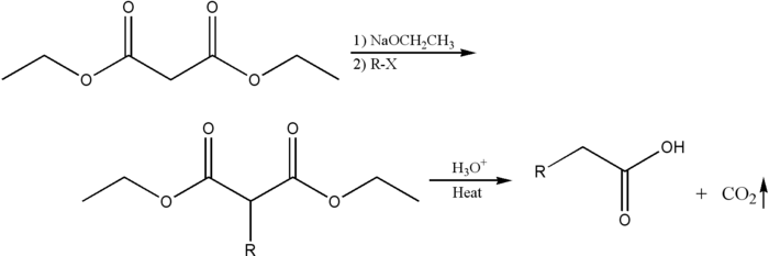 Malonicestersynthesis.png
