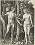 Adam Eva, Durer, 1504.jpg