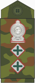 SL-Army-OF5 Colonel.PNG