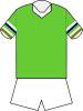 Canberra Raiders home jersey 1993.svg