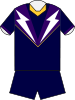 Melbourne Storm home jersey 1999.svg
